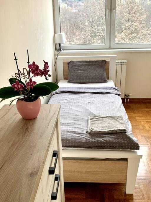 Sunkissed Apartment Belgrád Kültér fotó